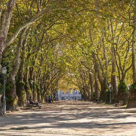 Jasmine Loft 波尔图